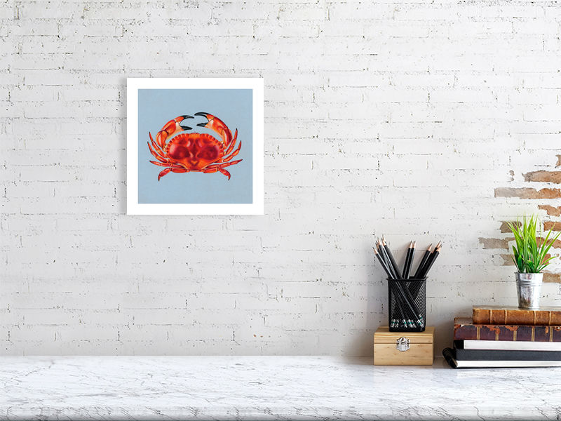 Crab