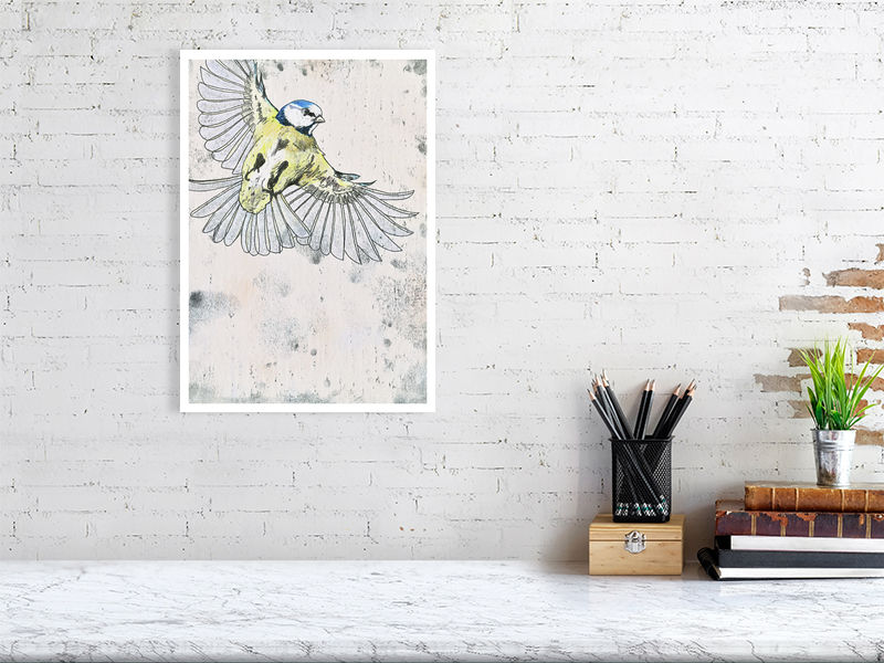 Blue Tit