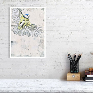 Blue Tit