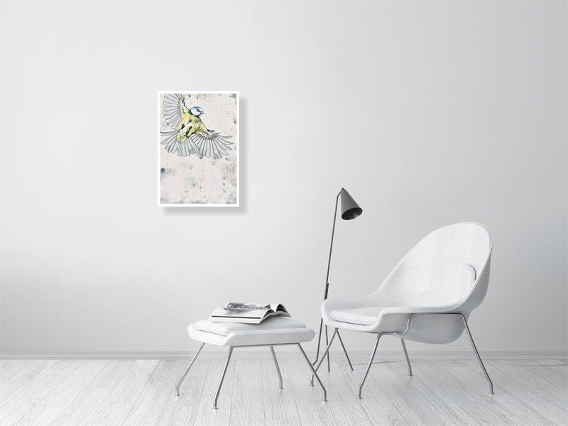 Blue Tit