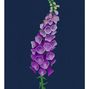 Botanical Illustration study of a Foxglove - Giclee Print