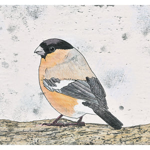 A hand coloured monoprint of a Bullfinch. Available as a Premium Giclee Print.