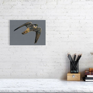 Hobby Illustration (Colour Pencil on card) Giclee Print