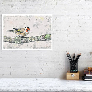 Goldfinch