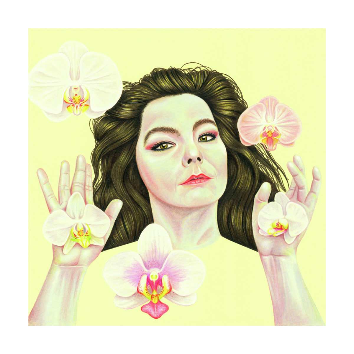 A portrait of the musician, Bjork (Colour Pencil on Card) - Giclee Print