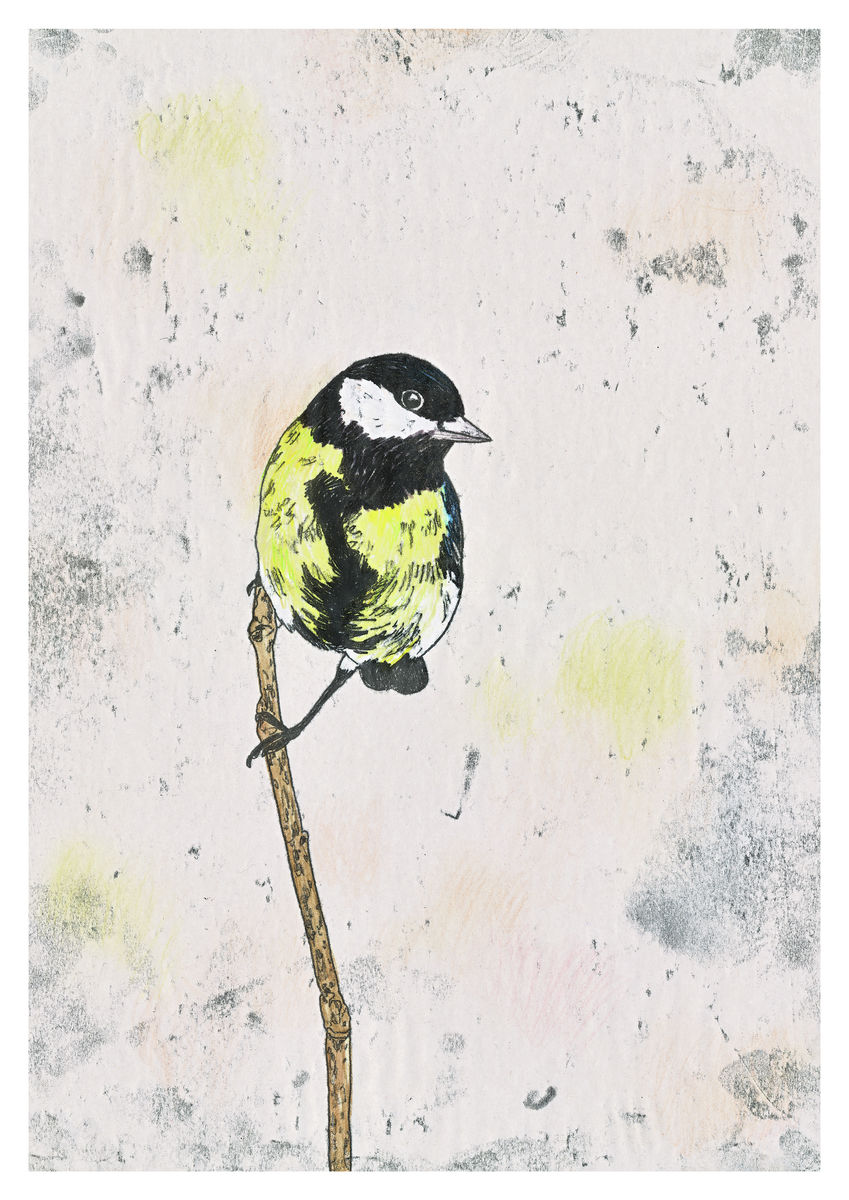 A Great Tit perched on a branch. Original Artwork - hand coloured monoprint. Available as a Giclee print.