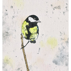 A Great Tit perched on a branch. Original Artwork - hand coloured monoprint. Available as a Giclee print.