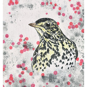 A hand coloured monoprint of a Song Thrush. Available as a Giclee Print.