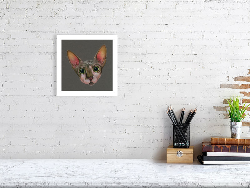Sphynx