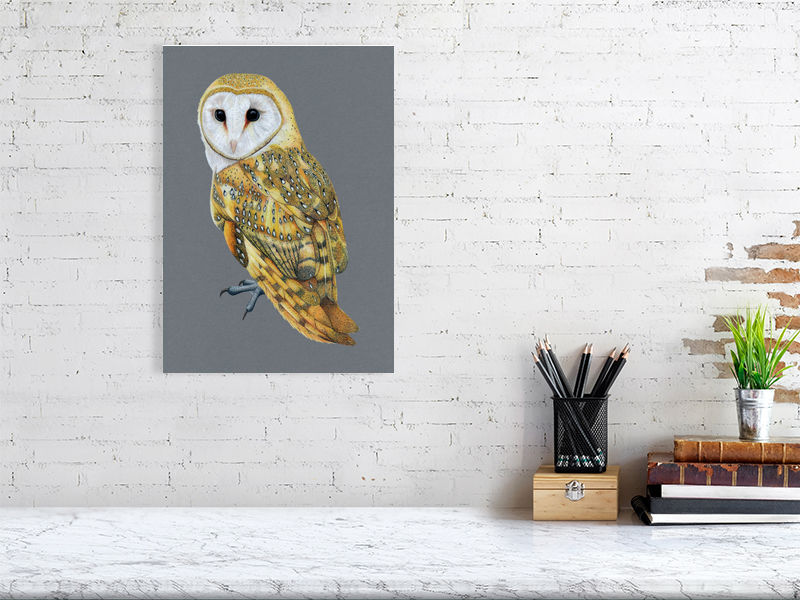 Barn Owl Illustration (Colour Pencil on card) Giclee Print