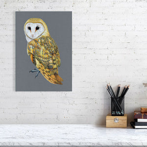 Barn Owl Illustration (Colour Pencil on card) Giclee Print