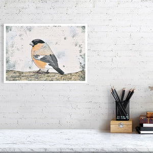 Bullfinch