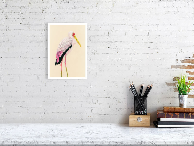 Painted Stork