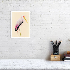 Painted Stork