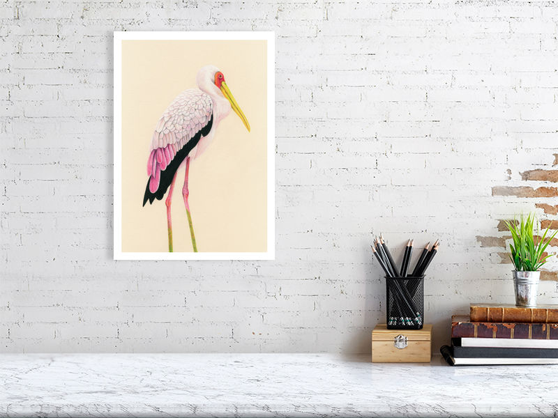 Painted Stork