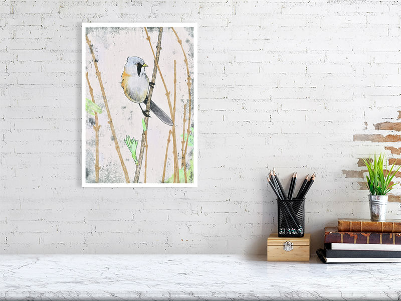 Bearded Tit