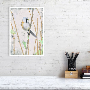 Bearded Tit