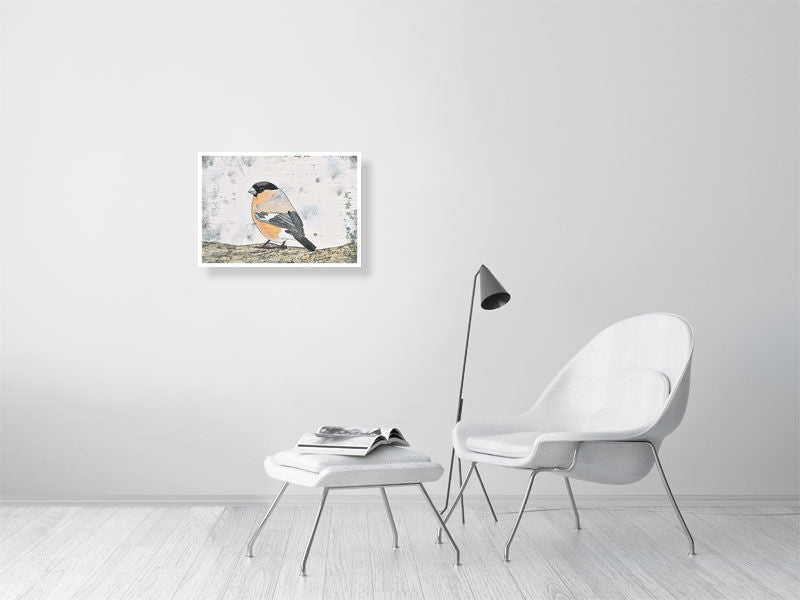 Bullfinch