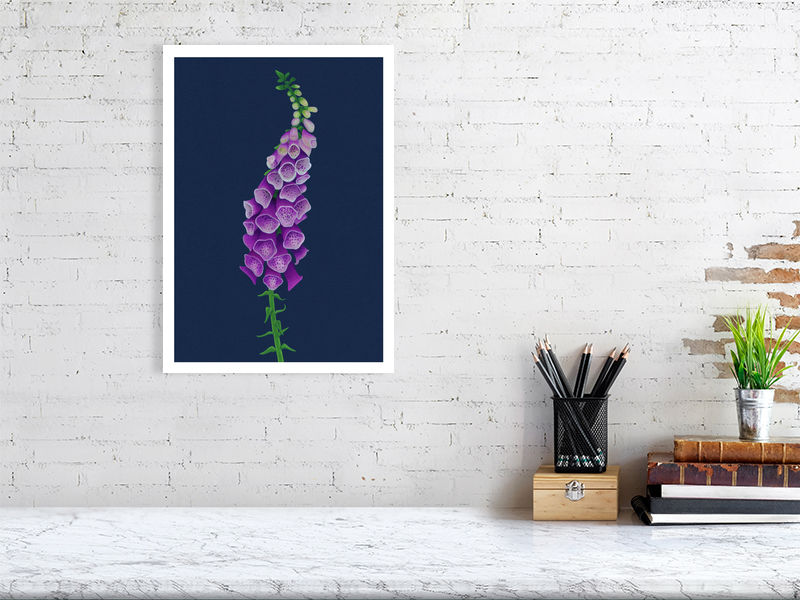 Foxglove