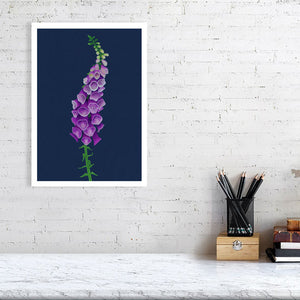 Foxglove