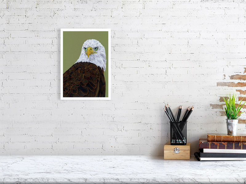 American Eagle