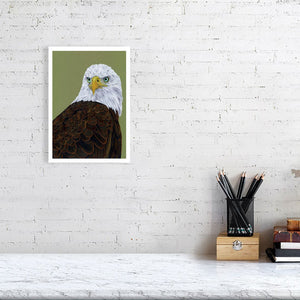 American Eagle