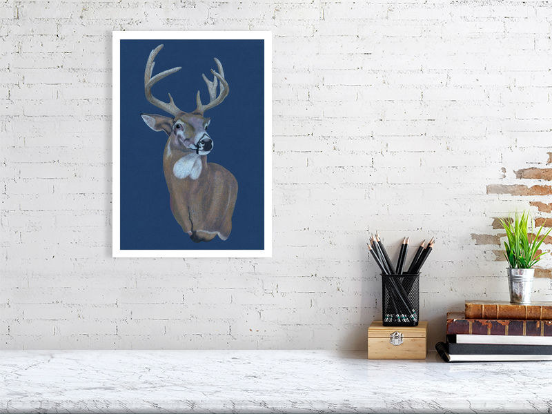 Stag