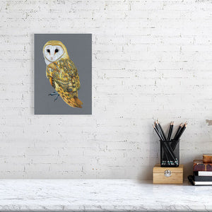 Barn Owl Illustration (Colour Pencil on card) Giclee Print