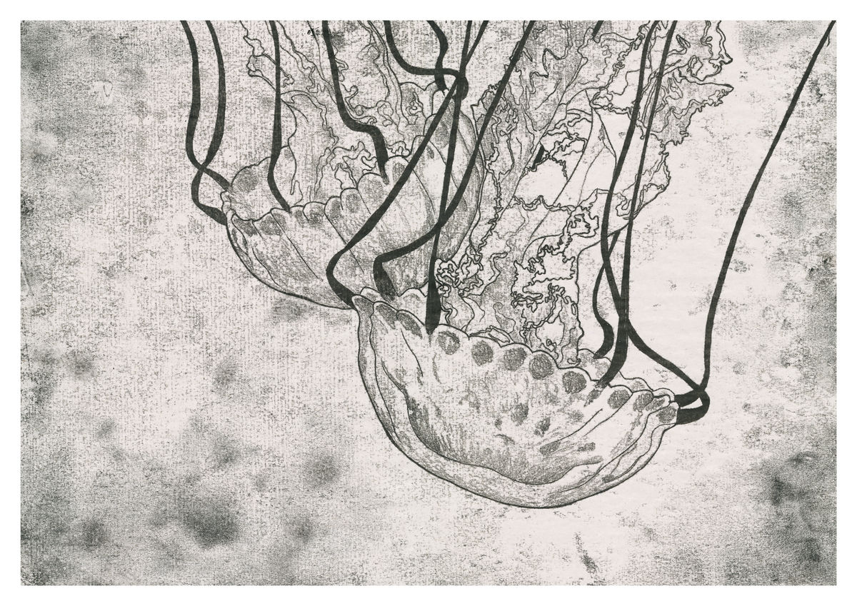 Monoprint of a Jellyfish seen at Monterey Bay Aquarium - Available as a Giclee Print.
