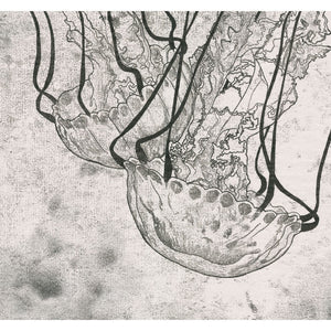 Monoprint of a Jellyfish seen at Monterey Bay Aquarium - Available as a Giclee Print.