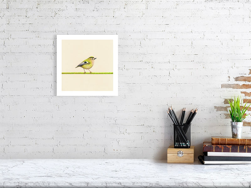 Goldcrest