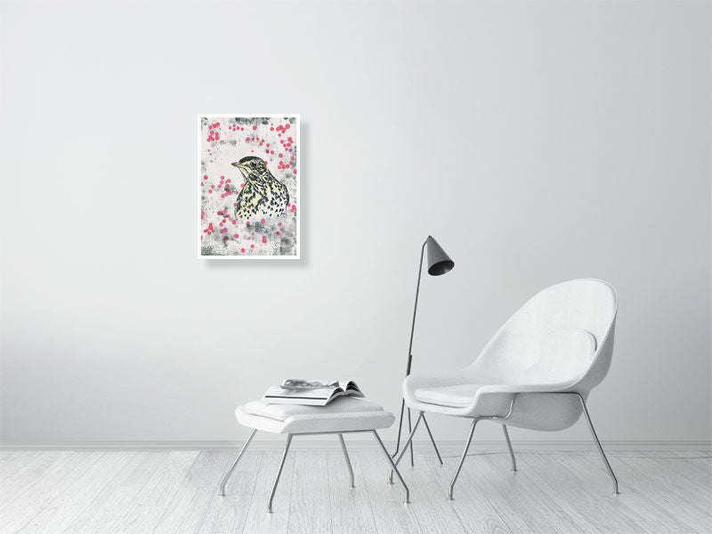 Song Thrush