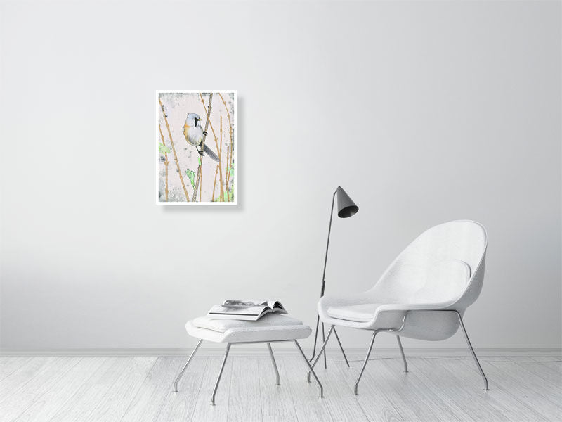 Bearded Tit
