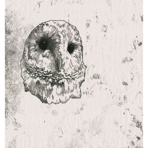 Original artwork of a Barn Owl, created as a monoprint. Available as a Giclee Print.