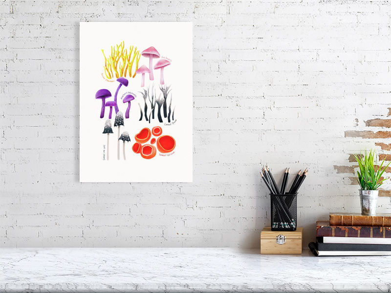 Fungi