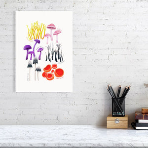 Fungi