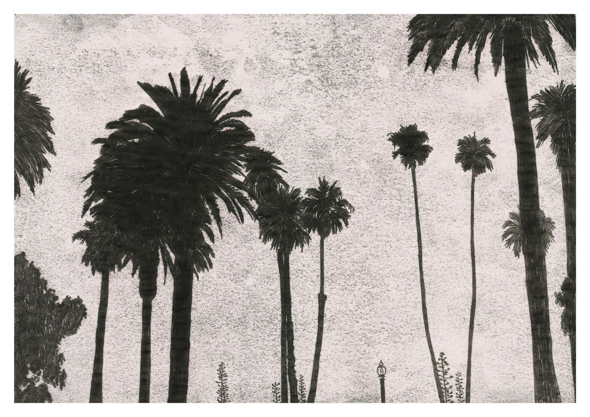 Monoprint of Palm Trees, California. Available as a Giclee Print. 