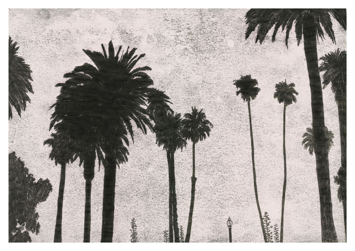 Monoprint of Palm Trees, California. Available as a Giclee Print.