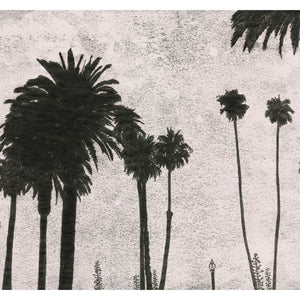 Monoprint of Palm Trees, California. Available as a Giclee Print.