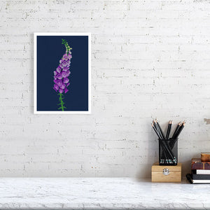 Foxglove