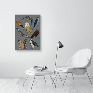 British Birds of Prey Illustration (Colour Pencil on card) Giclee Print