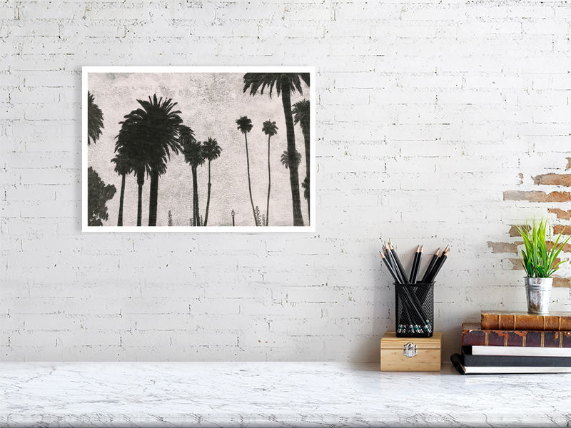 Palms