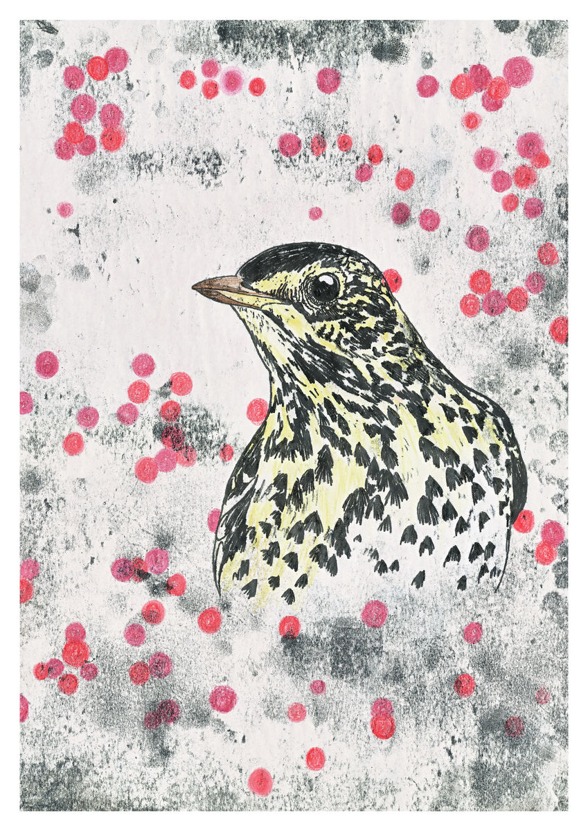 A hand coloured monoprint of a Song Thrush. Available as a Giclee Print. 