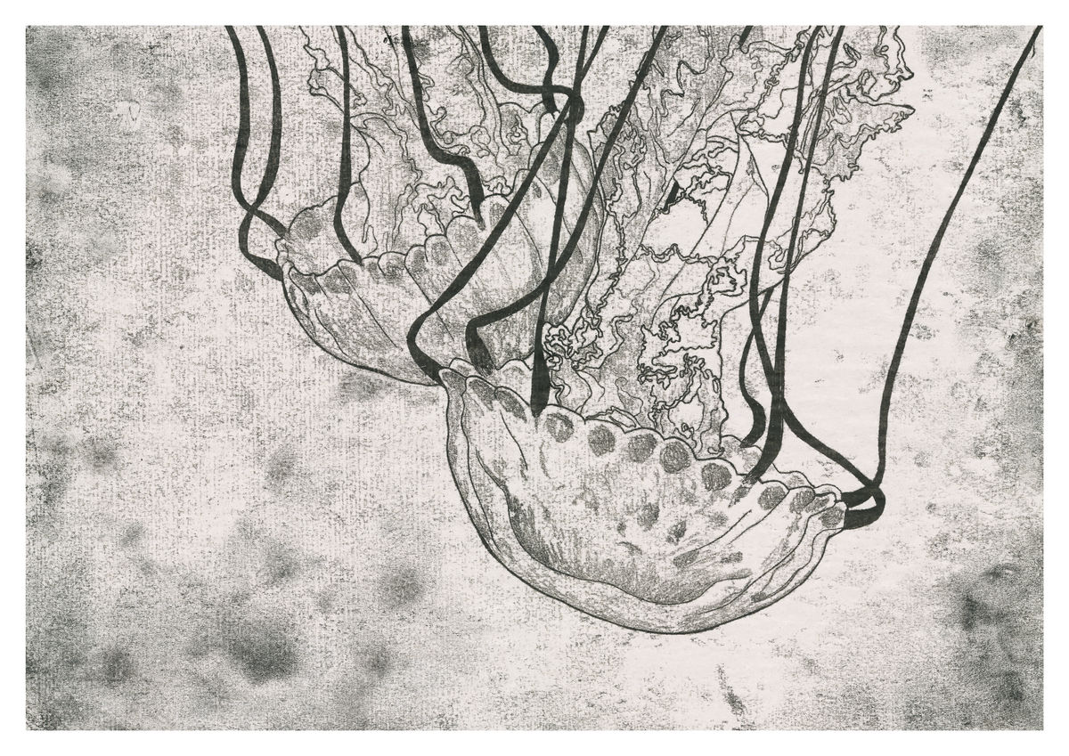 Monoprint of a Jellyfish seen at Monterey Bay Aquarium - Available as a Giclee Print. 