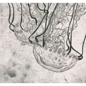 Monoprint of a Jellyfish seen at Monterey Bay Aquarium - Available as a Giclee Print. 