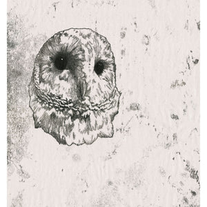 Original artwork of a Barn Owl, created as a monoprint. Available as a Giclee Print. 