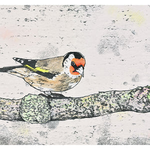 A hand coloured monoprint of a Goldfinch. Available as Fine Art Giclee Print.