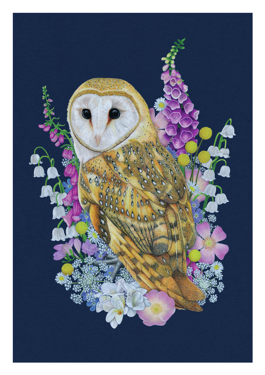 A Barn Owl surrounded by British Wild Meadow Flowers. Available as a Giclee Print. 