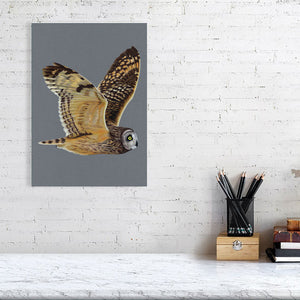 Short Eared Owl Illustration (Colour Pencil on card) Giclee Print