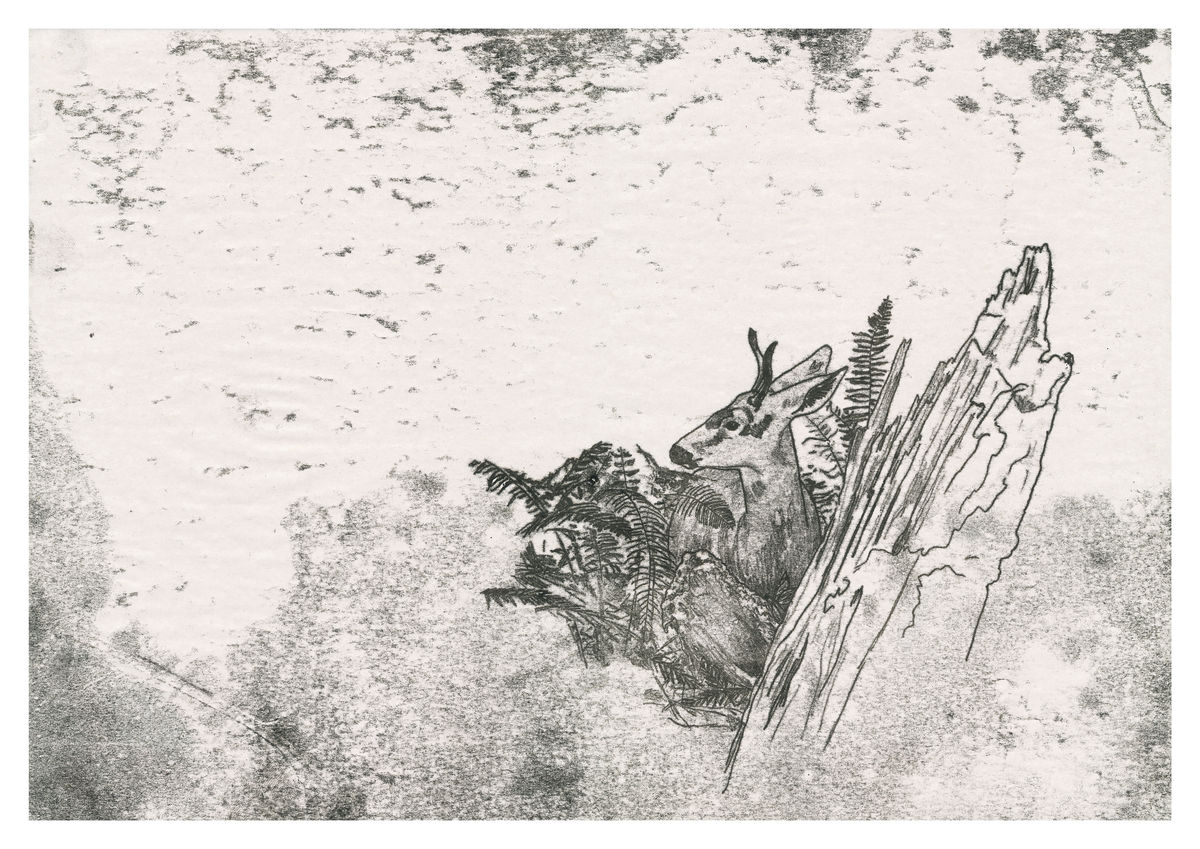 A monoprint of a deer in the woods. Available as a Giclee Fine Art Print.